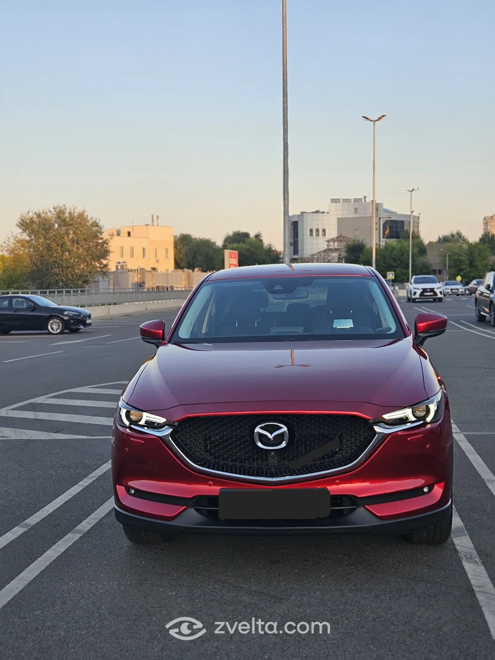 Car photo 8